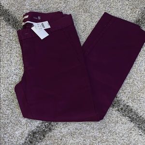 NWT JCrew Skinny Chinos